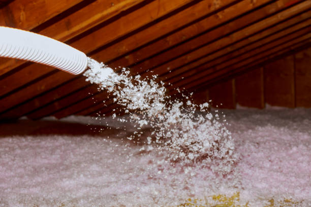 Best Insulation Materials and Products in Bayshore Gardens, FL